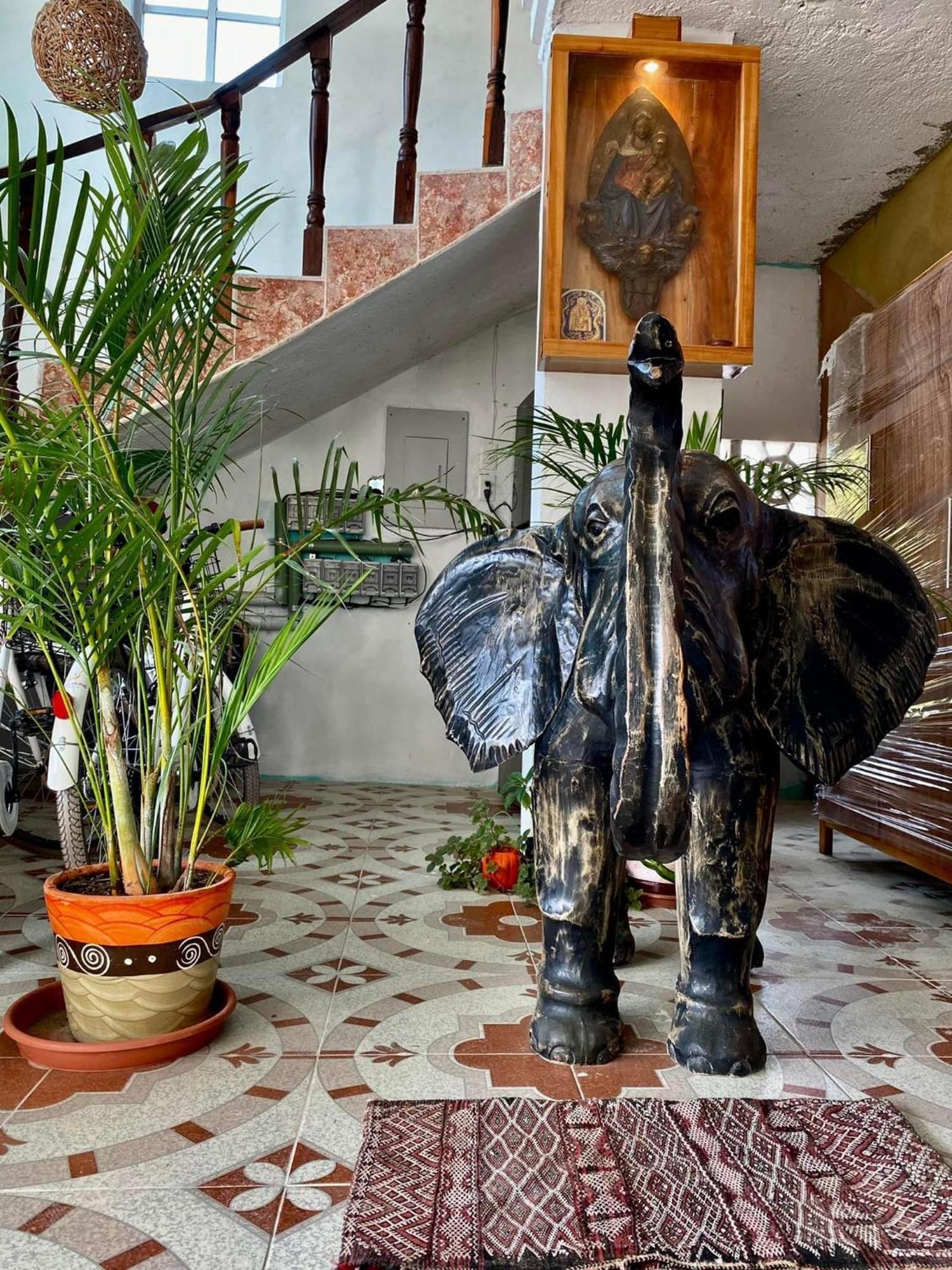 Casa Gajah Hotel Cuyo Kültér fotó