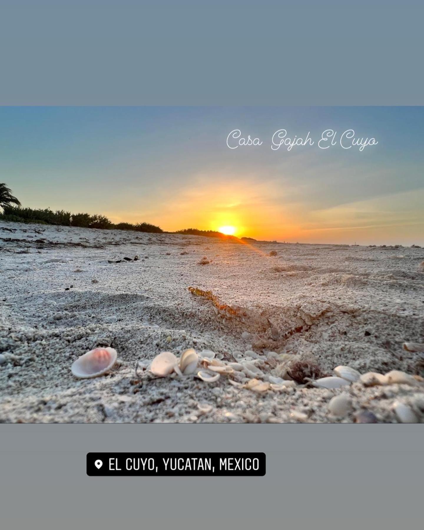 Casa Gajah Hotel Cuyo Kültér fotó
